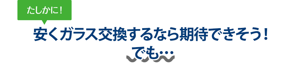 たしかに！ 安くガラス交換するならボディガードさんは期待できそう！でも…