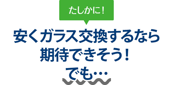 たしかに！ 安くガラス交換するならボディガードさんは期待できそう！でも…