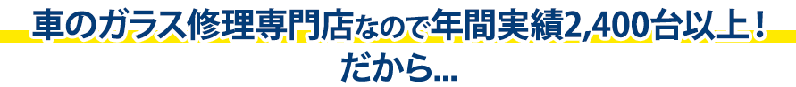 ボディガードは年間実績2,400台以上！だから…